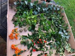 This years’ wreath-making harvest from the garden
