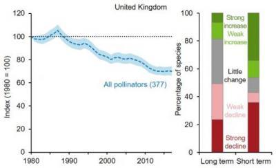 Chart showing change in the distribution of UK pollinators, 1980 to 2017