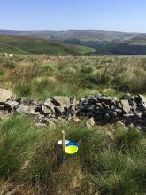 Survey sites are a mix of farmed and wild landscapes